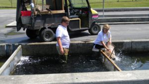 Students at Dale Hollow Hatchery